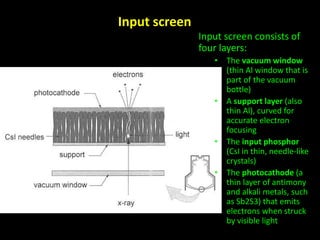 Input screen 
Input screen consists of 
four layers: 
• The vacuum window 
(thin Al window that is 
part of the vacuum 
bottle) 
• A support layer (also 
thin Al), curved for 
accurate electron 
focusing 
• The input phosphor 
(CsI in thin, needle-like 
crystals) 
• The photocathode (a 
thin layer of antimony 
and alkali metals, such 
as Sb2S3) that emits 
electrons when struck 
by visible light 
 