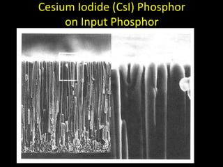 Cesium Iodide (CsI) Phosphor 
on Input Phosphor 
 