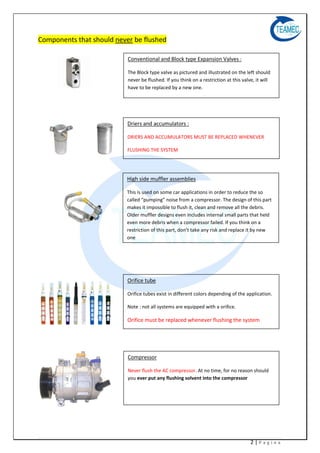 Flushing and cleaning(en) | PDF
