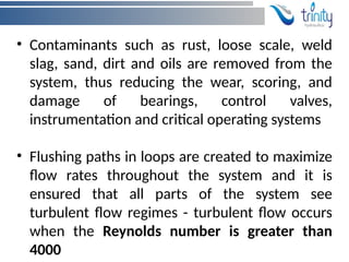 Flushing and pressure Testing of Hydraulic Hoses and hydraulic lines.pptx
