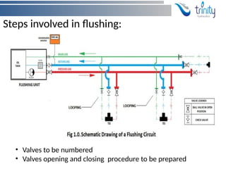 Flushing and pressure Testing of Hydraulic Hoses and hydraulic lines.pptx