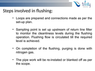 Flushing and pressure Testing of Hydraulic Hoses and hydraulic lines.pptx