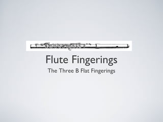 Flute Fingerings
The Three B Flat Fingerings

 