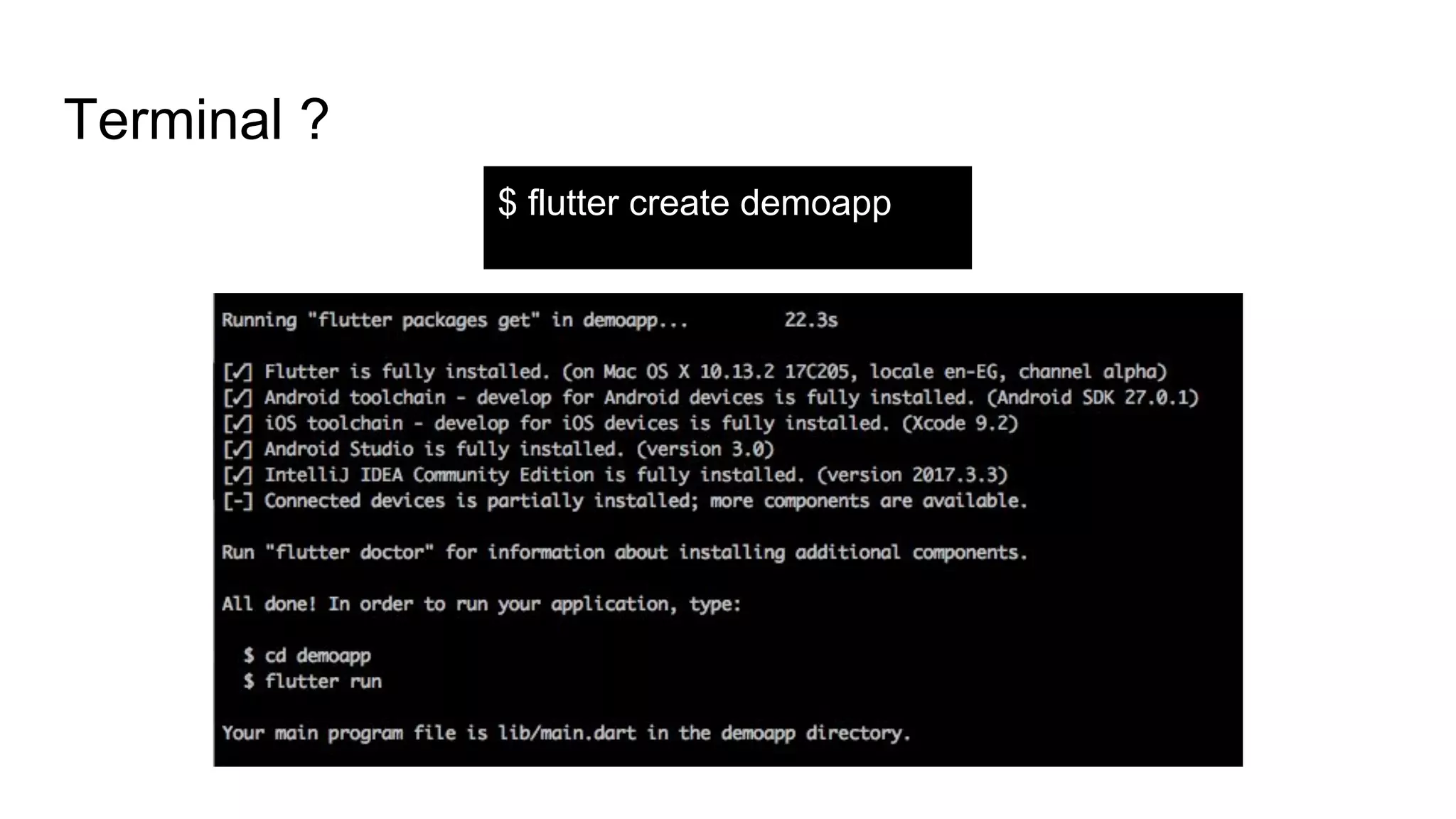 Terminal ?
$ flutter create demoapp
 