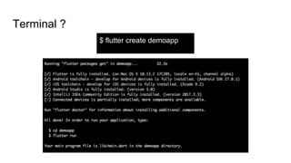 Terminal ?
$ flutter create demoapp
 
