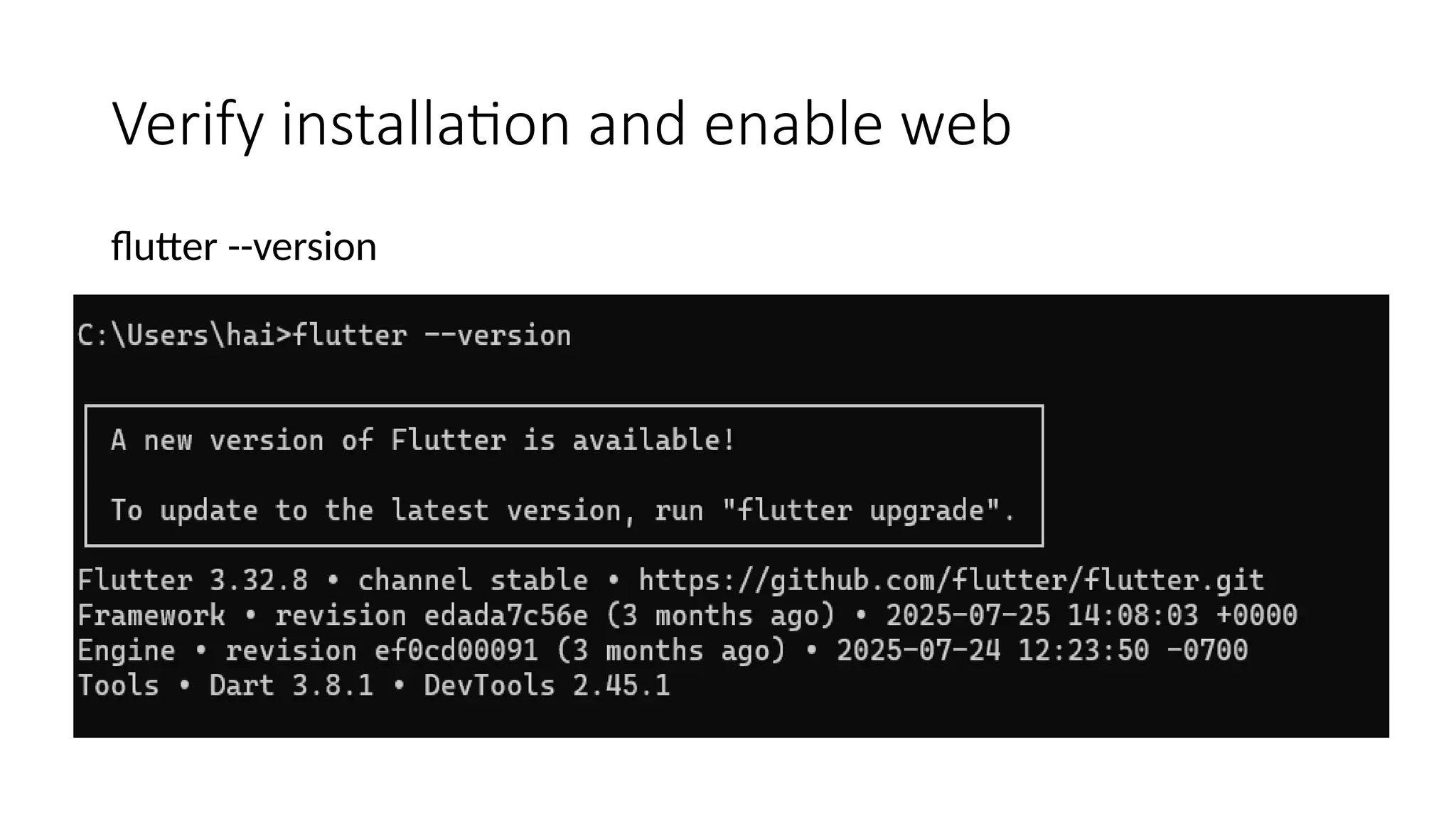 Verify installation and enable web
flutter --version
 
