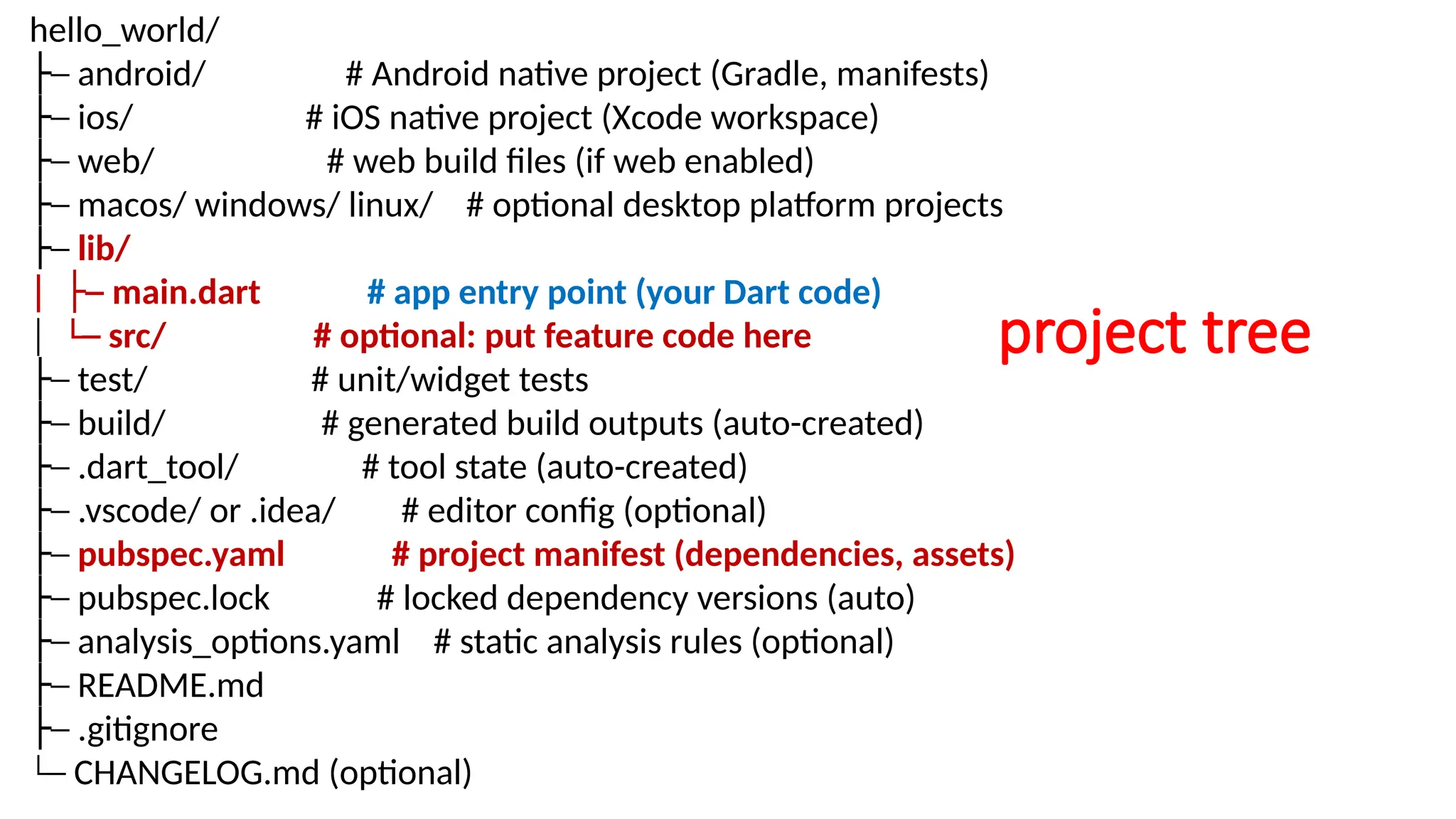 project tree
hello_world/
─
├ android/ # Android native project (Gradle, manifests)
─
├ ios/ # iOS native project (Xcode workspace)
─
├ web/ # web build files (if web enabled)
─
├ macos/ windows/ linux/ # optional desktop platform projects
─
├ lib/
│ ─
├ main.dart # app entry point (your Dart code)
│ └─ src/ # optional: put feature code here
─
├ test/ # unit/widget tests
─
├ build/ # generated build outputs (auto-created)
─
├ .dart_tool/ # tool state (auto-created)
─
├ .vscode/ or .idea/ # editor config (optional)
─
├ pubspec.yaml # project manifest (dependencies, assets)
─
├ pubspec.lock # locked dependency versions (auto)
─
├ analysis_options.yaml # static analysis rules (optional)
─
├ README.md
─
├ .gitignore
└─ CHANGELOG.md (optional)
 