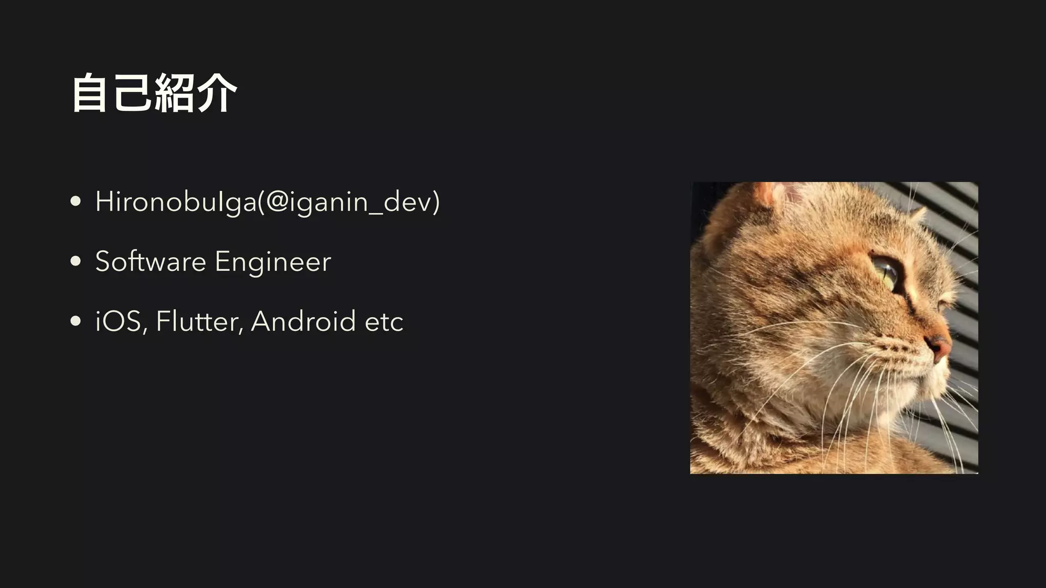 自己紹介
• HironobuIga(@iganin_dev)


• Software Engineer


• iOS, Flutter, Android etc
 