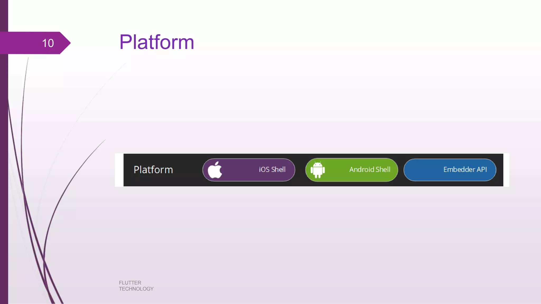 Platform10 FLUTTER TECHNOLOGY 