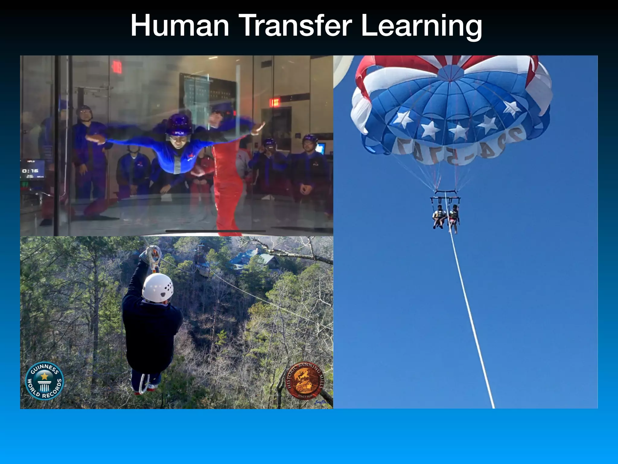 Human Transfer Learning
 