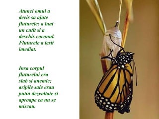 Atunci omul a decis sa ajute fluturele: a luat un cutit si a deschis coconul. Fluturele a iesit imediat. Insa corpul fluturelui era slab si anemic; aripile sale erau putin dezvoltate si aproape ca nu se miscau. 