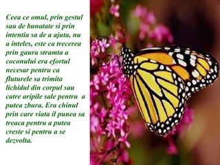 Ceea ce omul, prin gestul sau de bunatate si prin intentia sa de a ajuta, nu a inteles, este ca trecerea prin gaura stramta a coconului era efortul necesar pentru ca fluturele sa trimita lichidul din corpul sau catre aripile sale pentru  a putea zbura. Era chinul prin care viata il punea sa treaca pentru a putea creste si pentru a se dezvolta. 