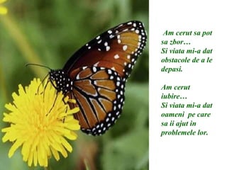 Am cerut sa pot sa zbor… Si viata mi-a dat obstacole de a le depasi. Am cerut iubire… Si viata mi-a dat oameni  pe care sa ii ajut in problemele lor. 