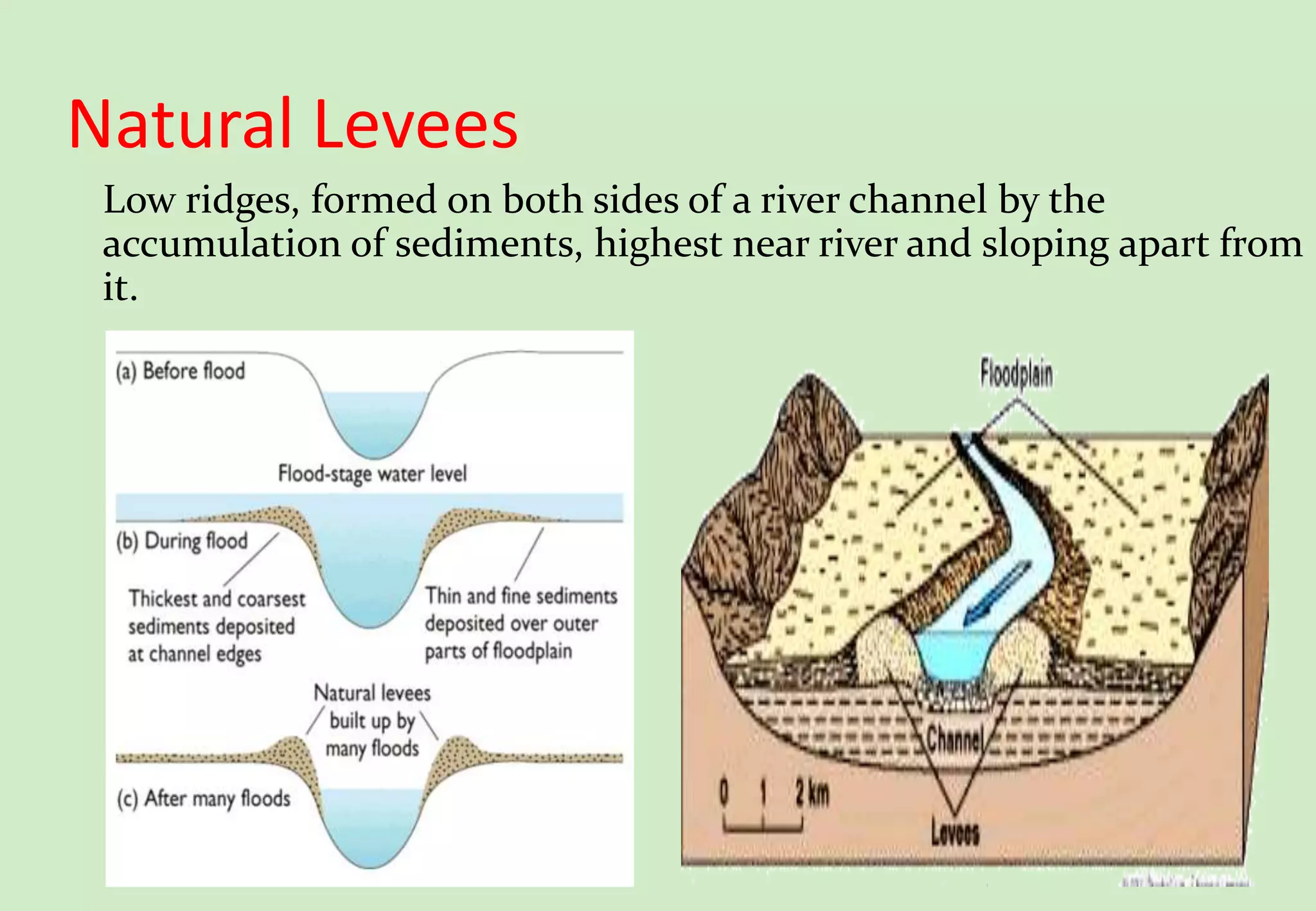 Natural Levees
Low ridges, formed on both sides of a river channel by the
accumulation of sediments, highest near river and sloping apart from
it.
 