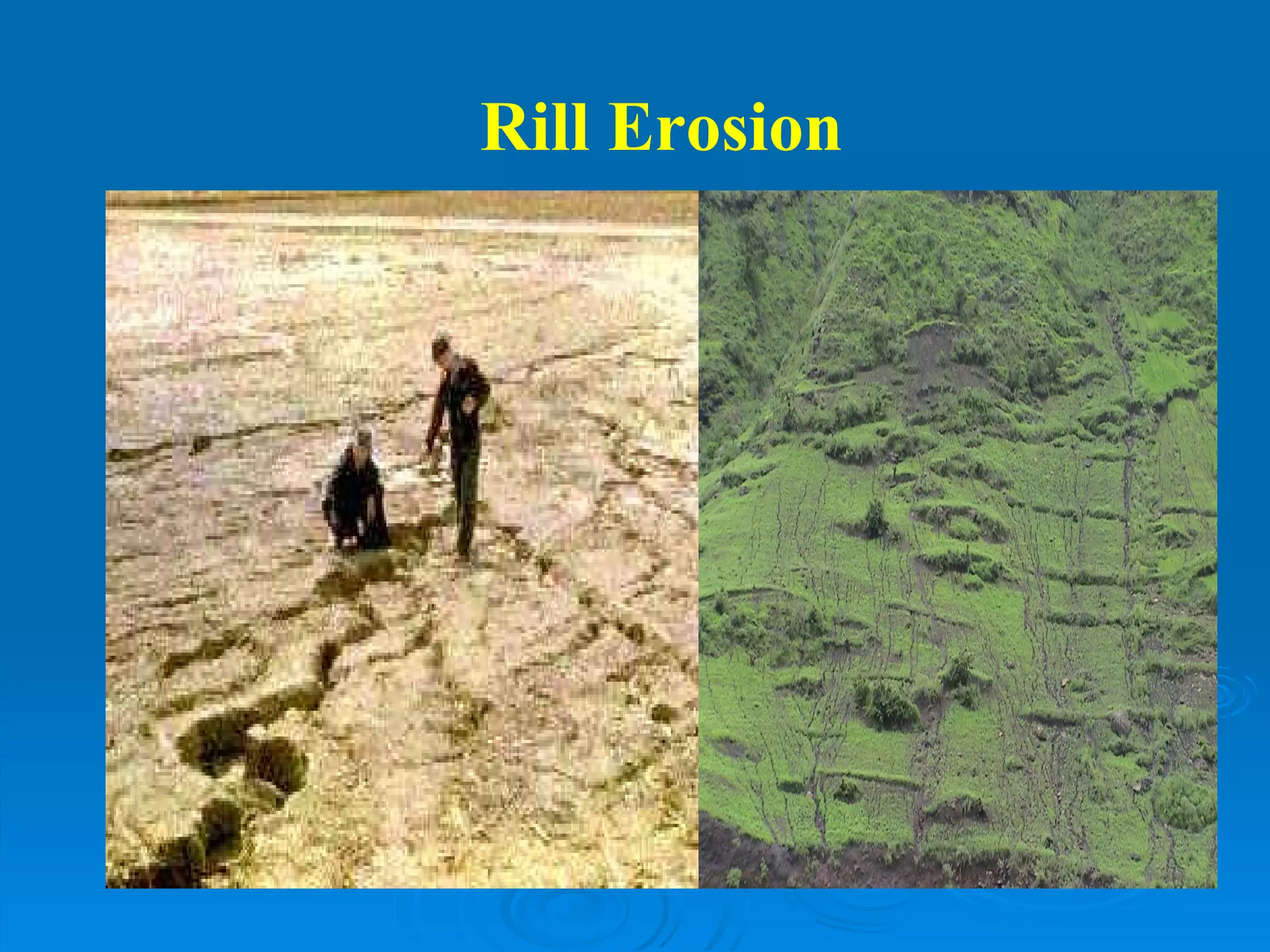 Rill Erosion 