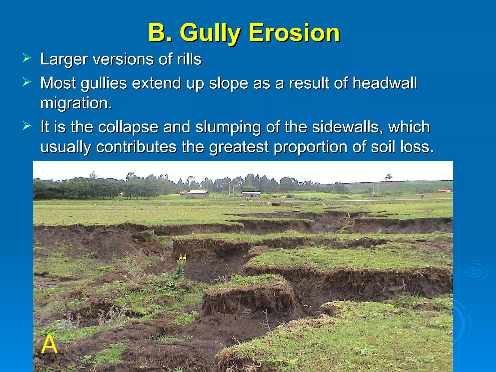 B. Gully Erosion Larger versions of rills Most gullies extend up slope as a result of headwall migration.  It is the collapse and slumping of the sidewalls, which usually contributes the greatest proportion of soil loss. A 