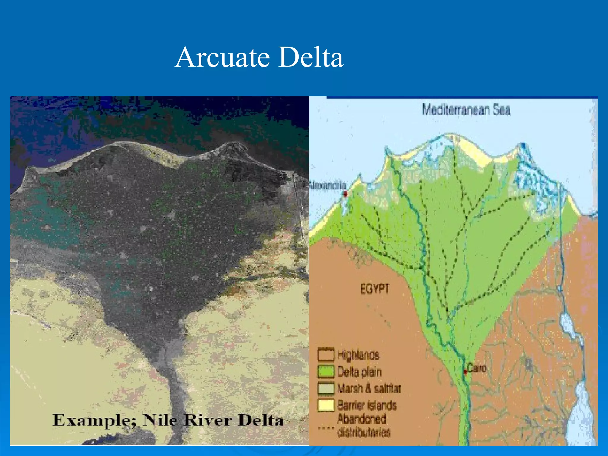 Arcuate Delta 