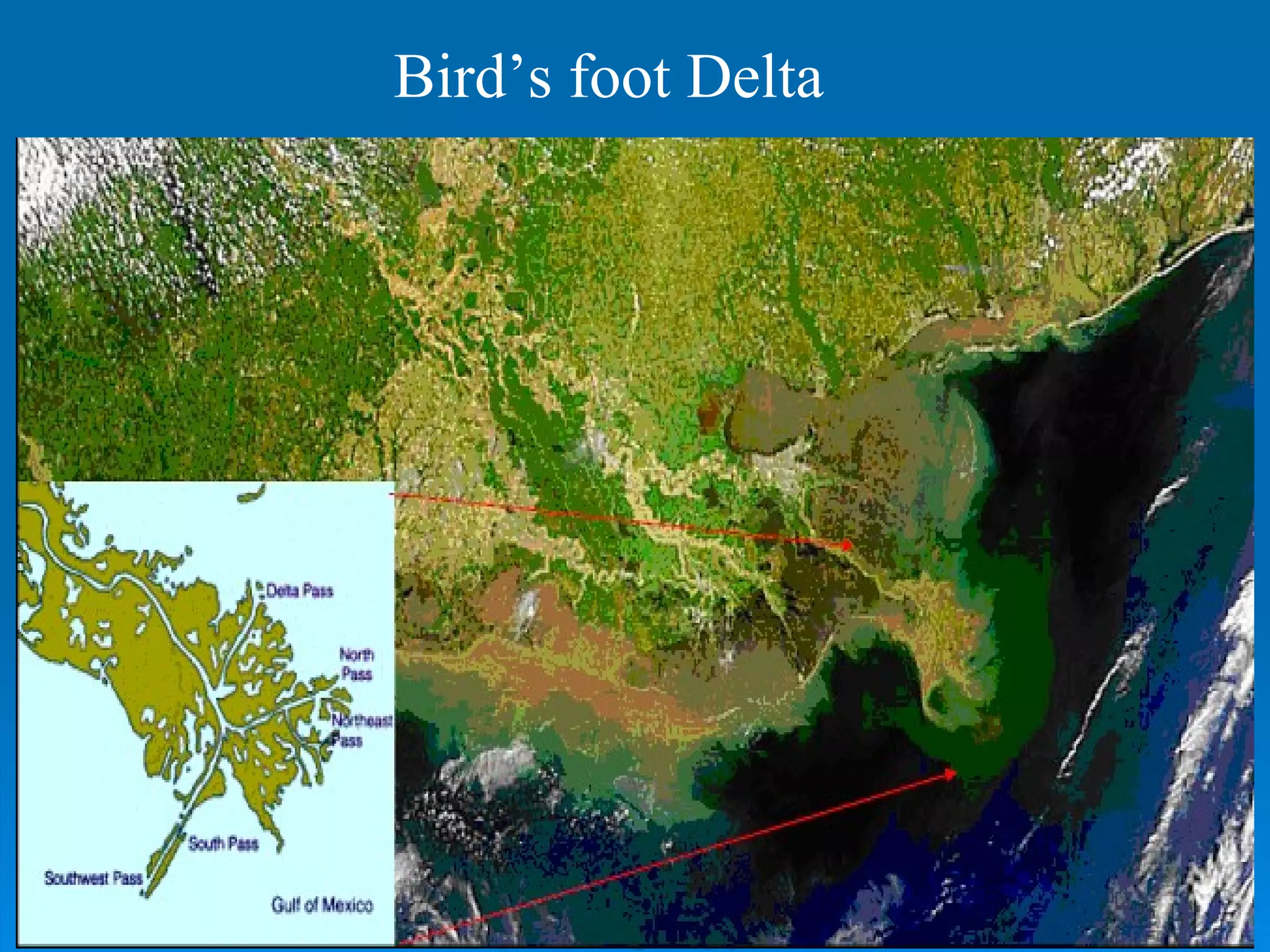 Bird’s foot Delta 