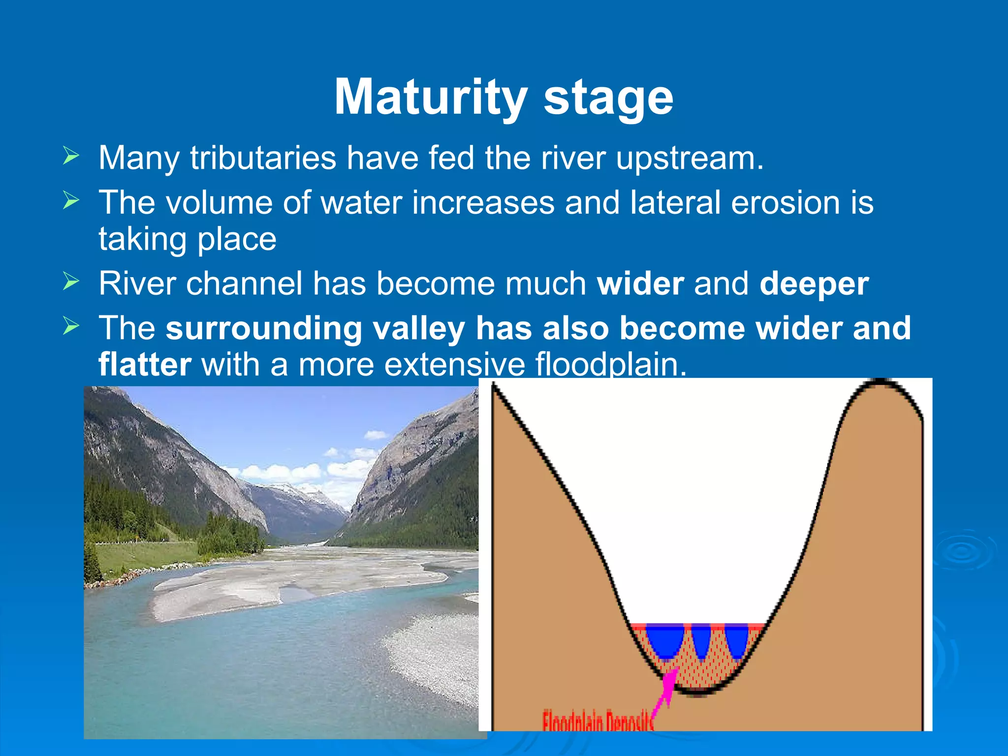 Maturity stage Many tributaries have fed the river upstream.  The volume of water increases and lateral erosion is taking place  River channel has become much  wider  and  deeper   The  surrounding valley has also become wider and flatter  with a more extensive floodplain. 