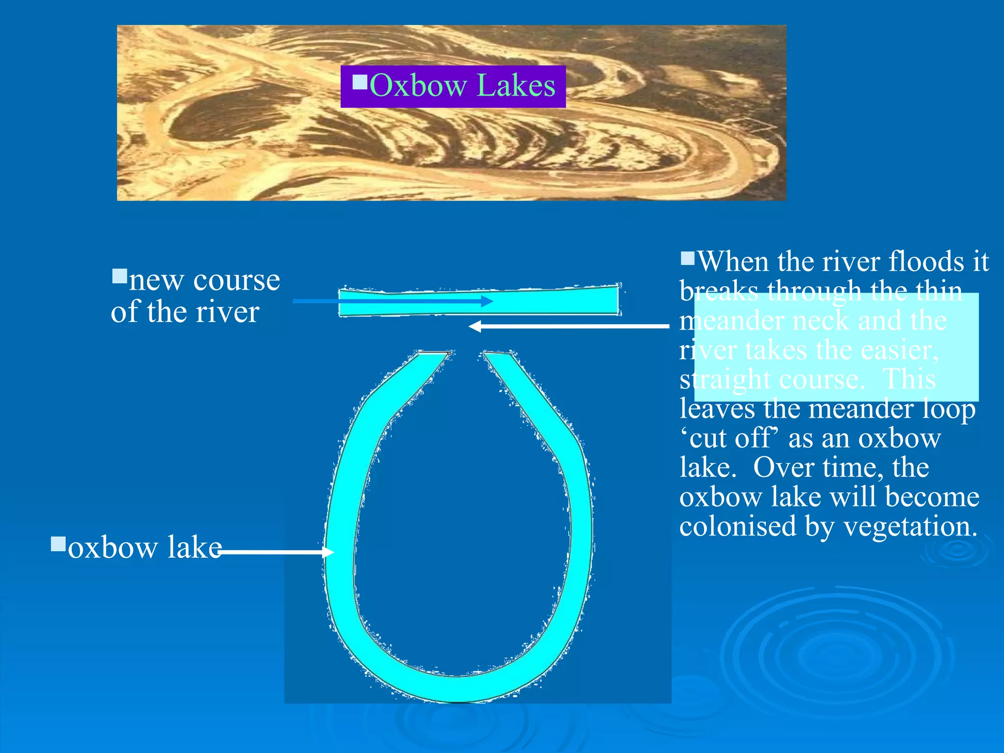 Oxbow Lakes Meander neck becomes smaller new course of the river oxbow lake When the river floods it breaks through the thin meander neck and the river takes the easier, straight course.  This leaves the meander loop ‘cut off’ as an oxbow lake.  Over time, the oxbow lake will become colonised by vegetation. 