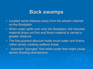 Back swamps Located some distance away from the stream channel on the floodplain.  When water spills over onto the floodplain, the heaviest material drops out first and finest material is carried a greater distance.  The fine-grained alluvium holds much water and drains rather slowly creating wetland areas. important "sponges" that retain water that might cause severe flooding downstream.  