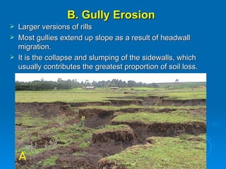 B. Gully Erosion Larger versions of rills Most gullies extend up slope as a result of headwall migration.  It is the collapse and slumping of the sidewalls, which usually contributes the greatest proportion of soil loss. A 