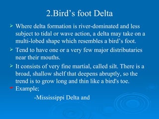 2.Bird’s foot Delta Where delta formation is river-dominated and less subject to tidal or wave action, a delta may take on a multi-lobed shape which resembles a bird’s foot.  Tend to have one or a very few major distributaries near their mouths.  It consists of very fine martial, called silt. There is a broad, shallow shelf that deepens abruptly, so the trend is to grow long and thin like a bird's toe.  Example; -Mississippi Delta and  