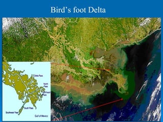 Bird’s foot Delta 