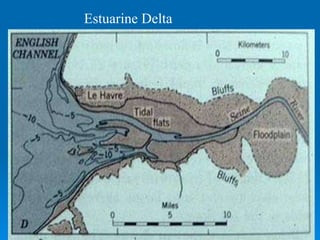 Estuarine Delta 