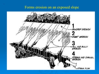 ·   Forms erosion on an exposed slope 