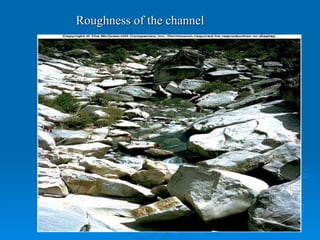 Roughness of the channel 