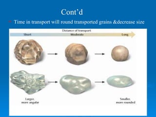 Time in transport will round transported grains &decrease size Cont’d 