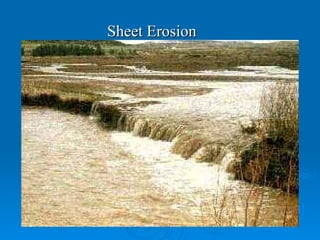 Sheet Erosion 