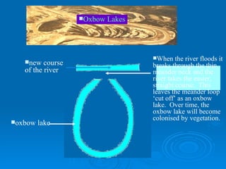 Oxbow Lakes Meander neck becomes smaller new course of the river oxbow lake When the river floods it breaks through the thin meander neck and the river takes the easier, straight course.  This leaves the meander loop ‘cut off’ as an oxbow lake.  Over time, the oxbow lake will become colonised by vegetation. 