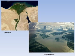 Delta Nila




             Delta Amazona
 