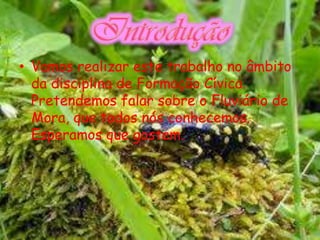 • Vamos realizar este trabalho no âmbito
  da disciplina de Formação Cívica.
  Pretendemos falar sobre o Fluviário de
  Mora, que todos nós conhecemos.
  Esperamos que gostem.
 