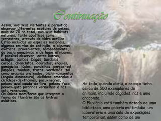 Assim, aos seus visitantes é permitido
observar diferentes espécies de peixes,
mais de 70 no total, nos seus habitats
naturais, tanto aquáticos como
terrestres, através de vidro acrílico.
Estão incluídas as espécies nacionais,
algumas em vias de extinção, e algumas
exóticas, provenientes, nomeadamente,
da bacia amazónica e de lagos africanos.
É possível observar, entre outros,
achigãs, barbos, bogas, bordalos,
carpas, chanchitos, douradas, enguias,
gambúzias, lúcios, pardelhas, percas-sol,
pimpões, tainhas, trutas, verdemãs, tal
como aruanâs prateados, bichir-cinzentos
(enguia-dinossauro), ciclídeos-amarelos e
ciclídeos-de-thomas, pacu-negros,
peixes-azul cauda-de-lira, peixes-faca,     Ao todo, quando abriu, o espaço tinha
peixes-gato piranhas vermelhas e rãs        cerca de 500 exemplares de
seta venenosas.
Os únicos mamíferos que integram a          animais, incluindo cágados, rãs e uma
fauna do Fluviário são as lontras           anaconda.
asiáticas.
                                            O Fluviário está também dotado de uma
                                            biblioteca, uma galeria multimédia, um
                                            laboratório e uma sala de exposições
                                            temporárias, assim como de um
 