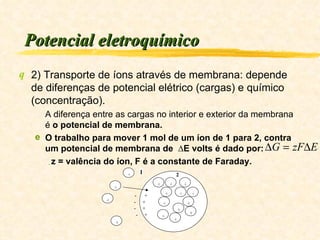 Potencial eletroquímico 2) Transporte de íons através de membrana: depende de diferenças de potencial elétrico (cargas) e químico (concentração). A diferença entre as cargas no interior e exterior da membrana é  o potencial de membrana. O trabalho para mover 1 mol de um íon de 1 para 2, contra um potencial de membrana de  ∆E volts é dado por: z = valência do íon, F é a constante de Faraday. + + + + + + + + + + + + -  + -  + -  + -  + + + + + 1 2 
