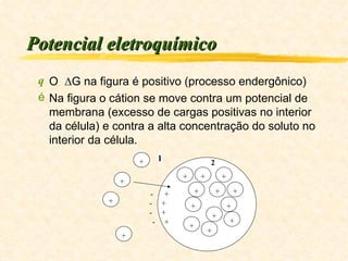 Potencial eletroquímico O  ∆G na figura é positivo (processo endergônico) Na figura o cátion se move contra um potencial de membrana (excesso de cargas positivas no interior da célula) e contra a alta concentração do soluto no interior da célula. + + + + + + + + + + + + -  + -  + -  + -  + + + + + 1 2 