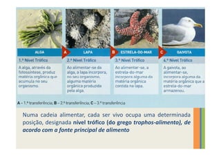 Numa cadeia alimentar, cada ser vivo ocupa uma determinada
posição, designada nível trófico (do grego trophos-alimento), de
acordo com a fonte principal de alimento
 
