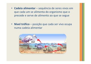 • Cadeia alimentar – sequência de seres vivos em
  que cada um se alimenta do organismo que o
  precede e serve de alimento ao que se segue

• Nível trófico – posição que cada ser vivo ocupa
  numa cadeia alimentar
 