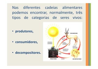 Nas diferentes cadeias alimentares
podemos encontrar, normalmente, três
tipos de categorias de seres vivos:


• produtores,

• consumidores,

• decompositores.
 