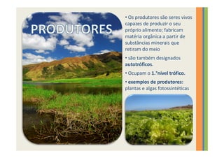 • Os produtores são seres vivos
capazes de produzir o seu
próprio alimento; fabricam
matéria orgânica a partir de
substâncias minerais que
retiram do meio
• são também designados
autotróficos.
• Ocupam o 1.°nível trófico.
• exemplos de produtores:
plantas e algas fotossintéticas
 