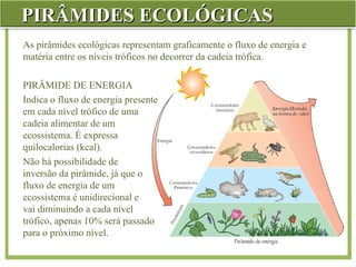 fluxos de energia na biologia e ciencias | PPT