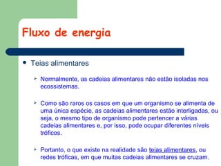 Fluxo de energia


Teias alimentares


Normalmente, as cadeias alimentares não estão isoladas nos
ecossistemas.



Como são raros os casos em que um organismo se alimenta de
uma única espécie, as cadeias alimentares estão interligadas, ou
seja, o mesmo tipo de organismo pode pertencer a várias
cadeias alimentares e, por isso, pode ocupar diferentes níveis
tróficos.



Portanto, o que existe na realidade são teias alimentares, ou
redes tróficas, em que muitas cadeias alimentares se cruzam.

 