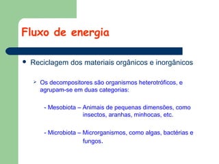 Fluxo de energia


Reciclagem dos materiais orgânicos e inorgânicos


Os decompositores são organismos heterotróficos, e
agrupam-se em duas categorias:
- Mesobiota – Animais de pequenas dimensões, como
insectos, aranhas, minhocas, etc.
- Microbiota – Microrganismos, como algas, bactérias e
fungos.

 