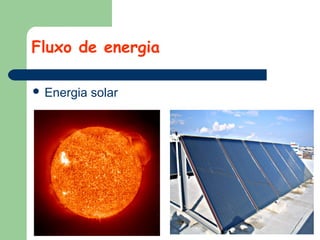 Fluxo de energia
 Energia

solar

 