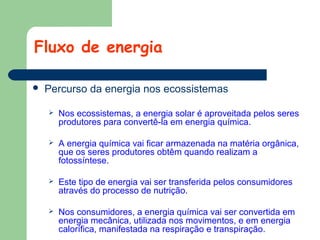 Fluxo de energia


Percurso da energia nos ecossistemas


Nos ecossistemas, a energia solar é aproveitada pelos seres
produtores para convertê-la em energia química.



A energia química vai ficar armazenada na matéria orgânica,
que os seres produtores obtêm quando realizam a
fotossíntese.



Este tipo de energia vai ser transferida pelos consumidores
através do processo de nutrição.



Nos consumidores, a energia química vai ser convertida em
energia mecânica, utilizada nos movimentos, e em energia
calorífica, manifestada na respiração e transpiração.

 
