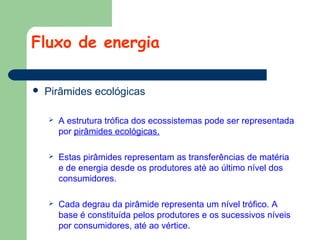 Fluxo de energia


Pirâmides ecológicas


A estrutura trófica dos ecossistemas pode ser representada
por pirâmides ecológicas.



Estas pirâmides representam as transferências de matéria
e de energia desde os produtores até ao último nível dos
consumidores.



Cada degrau da pirâmide representa um nível trófico. A
base é constituída pelos produtores e os sucessivos níveis
por consumidores, até ao vértice.

 