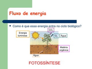 Fluxo de energia


Como é que essa energia entra no ciclo biológico?
CO2

Energia
luminosa

O2

Água

Matéria
orgânica
Água

FOTOSSÍNTESE

 